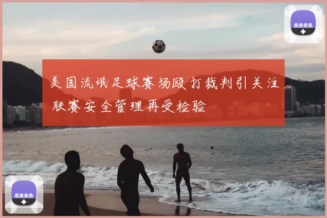 美国流氓足球赛场殴打裁判引关注 联赛安全管理再受检验